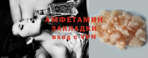 индика Гусь-Хрустальный