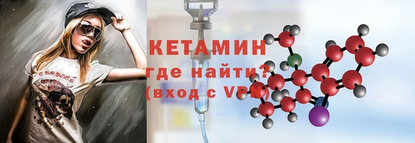 индика Гусь-Хрустальный