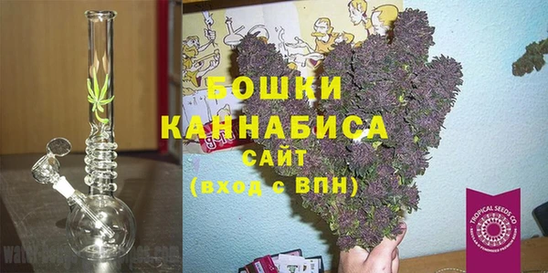 индика Гусь-Хрустальный