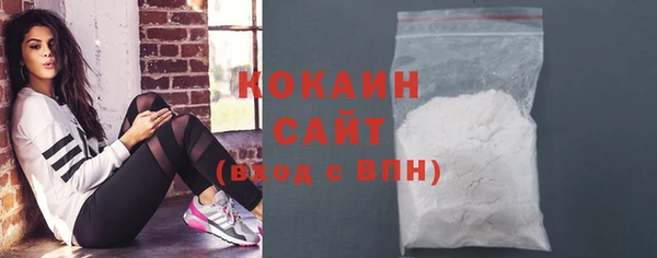 индика Гусь-Хрустальный