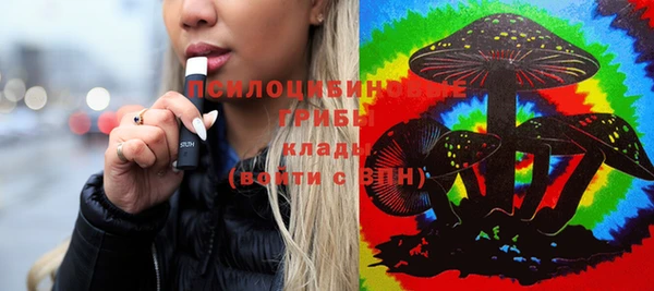 индика Гусь-Хрустальный