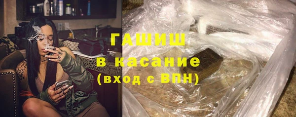 индика Гусь-Хрустальный