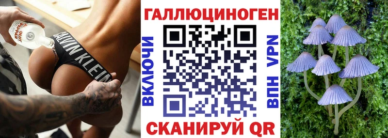Купить закладки  Раменское  Галлюциногенные грибы мухоморы 